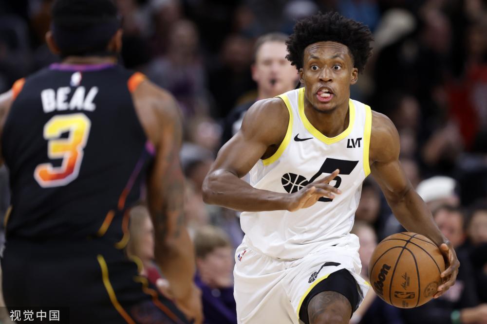 森林狼的应 森林狼的应